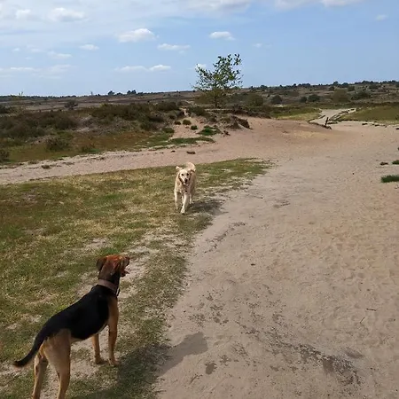 Heimathafen Alpesi faház