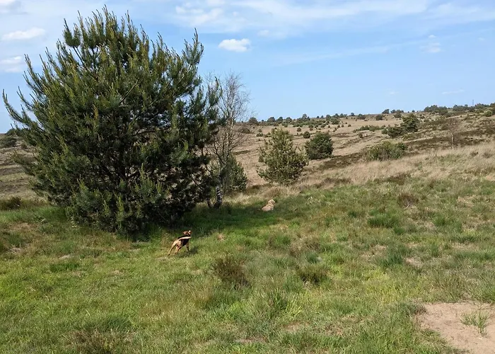 木屋 Heimathafen *